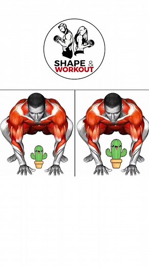 Effective Morning Exercises for a Shaped Body