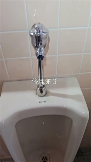入善町近郊でツインの小便器修理