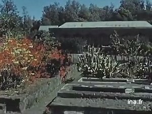 31K views · 548 reactions | Tout change... | Réunion Lontan | Facebook