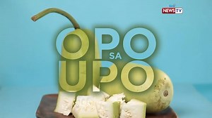 11K views · 100 reactions | Anong gulay ang magalang? Edi "upo"! Tikman ang aming upo recipes na hatid ni Chef Markus Patimo dito lang sa #GoodNews! | Good News | Facebook