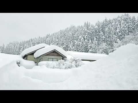 秋田県秋田市新屋扇町ライブカメラ Akita Akitashi Live camera.world.cam