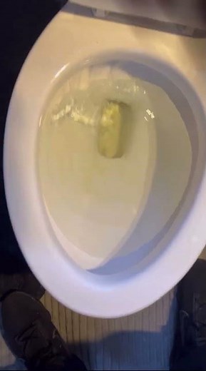 How to lower toilet bowl water level! #diy #bathroom