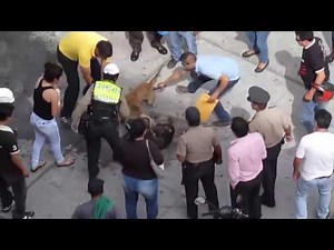 Dogs Fight | Most Extreme Animal Fights | Most dangerous Fight Ever