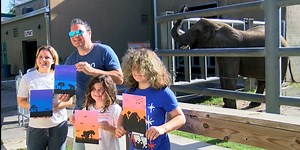 Painting with Elephants is back at ZooTampa