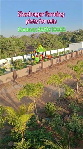 #Shadnagar farming plots for sale #agriculture lands in shadnagar Hyderabad