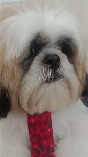 Banho relaxante... Sucrilhos