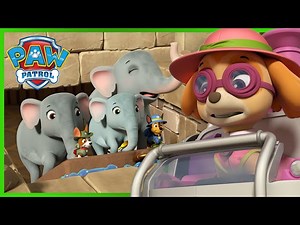 Jungle Rescue Pups save the Elephant family and more! | PAW Patrol Cartoons for Kids Comoilation - Videos For Kids