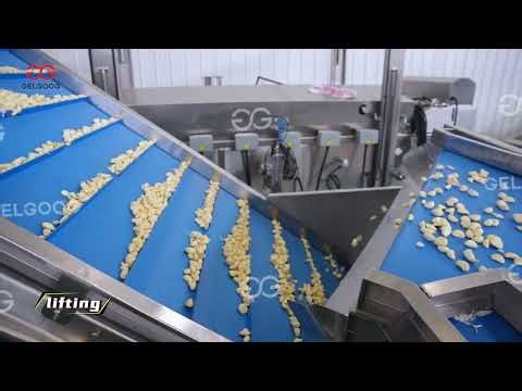 Industrial Garlic Processing Line Peeling, Sorting & Washing