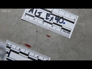 Testimony reveals DNA results of evidence seized in Jennifer Dulos' home