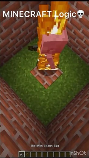 MINECRAFT insane Bugs that Mojang should ￼fix #shorts #trending #trendingshorts #minecraftmemes