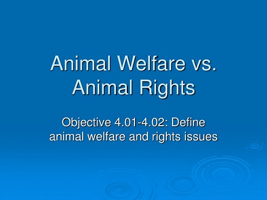 Understanding Animal Welfare and Rights: A Comparative Analysis - SlideServe