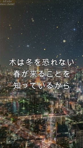 Tokyo Night Lofi Jazz 🌃 東京の夜景と星空で過ごす癒しの時間｜作業用・勉強・睡眠BGM - ショート