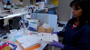 Video: Optimization for Sequencing and Analysis of Degraded FFPE-RNA Samples