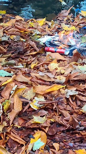 the bit where it actually explodes. NO ONE WAS HARMED!!!!#explosion #deoderant #fyp