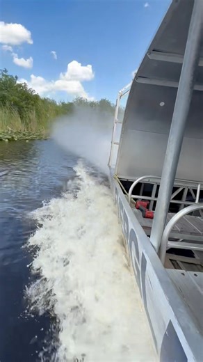 Skip the hassle and make your Everglades adventure effortless. Our Everglades VIP Tour with Transportation picks you up right from your hotel, Airbnb, or wherever you’re staying and brings you straight to the action. Enjoy a guided airboat tour, the Gator Boys Alligator Rescue Team live show, a free group photo, and so much more. Then sit back and relax as we take you back to your destination when the adventure’s over. Round-trip comfort. Easy. Fun. Unforgettable. #EvergladesHolidayPark #Evergla