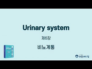 [쉽게 이해하는 의학용어] 제6장 비뇨계통(Urinary system)