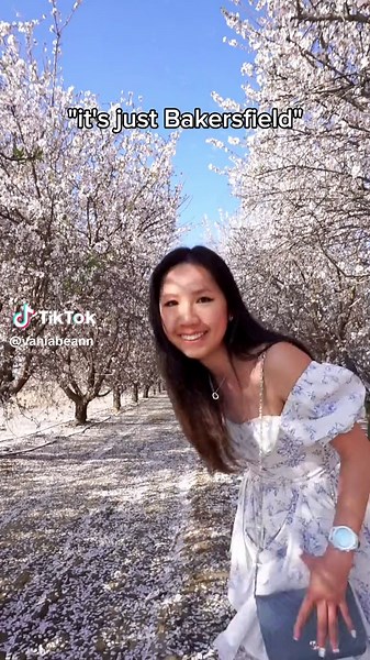 It's just Bakersfield right...? Except right now the almond blossom season is in full bloom! 😍🌸 Sharing everything you need to know about visiting California's Central Valley because I know it gets confusing. Save this for visiting times/season and location details: 🌸 Season: Late February - early March 📍 Bakersfield, California This location is very popular: (35.0555354, -118.9650568) It's close to where the 5 and 99 split off. Convenient to access and leave from the highway. 📍 Bakersfield