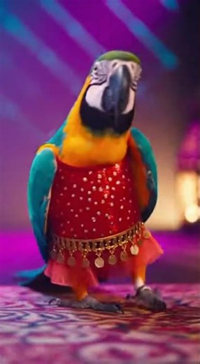 Epic Parrot Dance Party! #ParrotDance #FunnyBirds #CabaretVibes