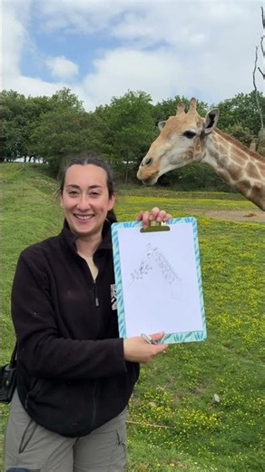 Soigneurs animaliers dessinent leurs animaux près de Toulouse
