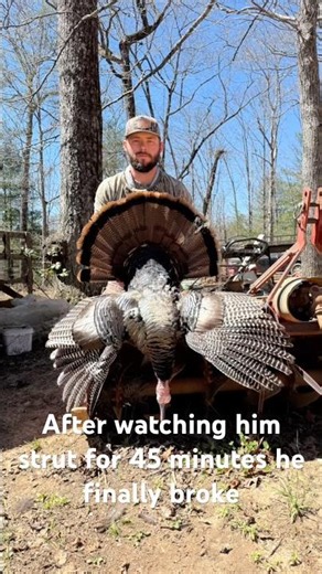 Slow playing a GEORGIA LONGBEARD | GEORGIA TURKEY HUNTING #gobbler #turkeyhunting #hunting #killshot