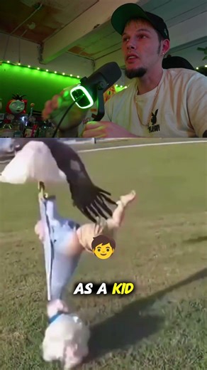 Dog Saves Baby From Hawk Attack 🐶👶🦅😮 #animal #animals #reactions #crazy #reels #dogs #dog