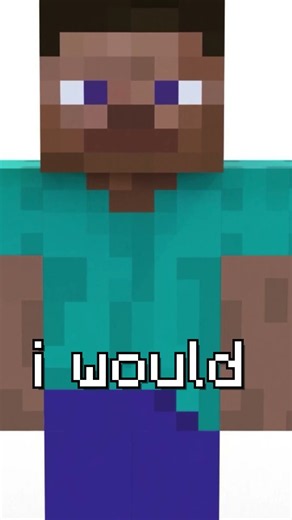 i would play with the steve skin.