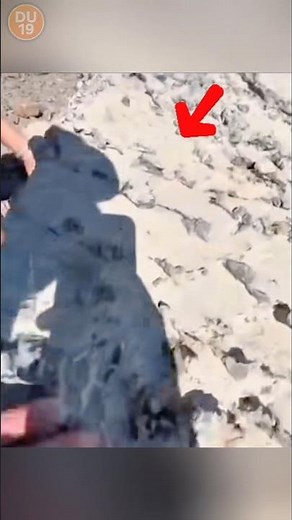 Scientists Found Seashells on Mountain Peaks… Here’s the Shocking Reason 😱