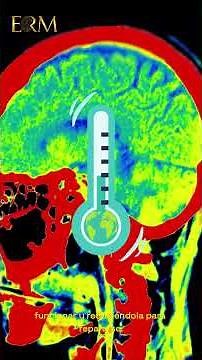THE BRAIN CHANGES TEMPERATURE THROUGHOUT THE DAY.