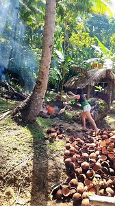 222K views · 5.2K reactions | Making Charcoal from coconut Shell #simplengprobinsyana #simplelife #reels | CrisVhin TV | Facebook
