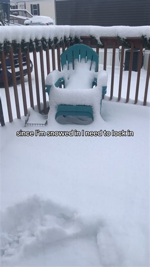 yes they’re for my littlest pet shops