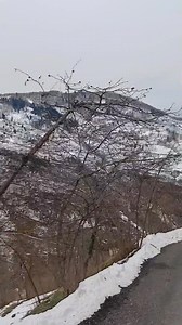 Ayşe Kurukiz Dogrul on Reels