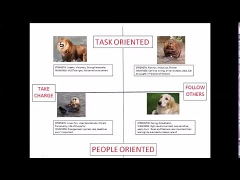 Understanding Your Personality For Success