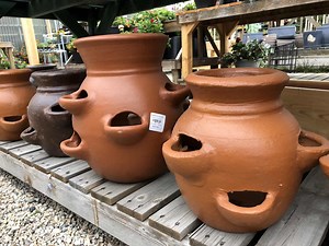 Strawberry pot basics