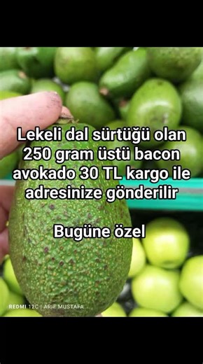 passiflora & avokado on Instagram