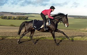 Watch Lucinda Green ride Sprinter Sacre - Horse & Hound
