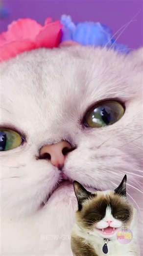 HISS! Jenga Fail = Cat Fury 😼🙀😿