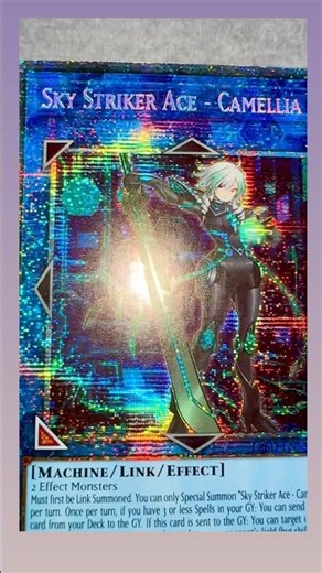 Pick Up Day ✨ Euro Prints