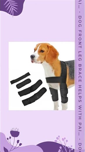 Dog Front leg Brace Helps With Pain And Discomfort