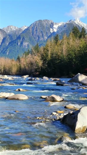 Spring Mountain River | Relaxing River Sounds for Sleep, Study & Deep Focus | White Noise