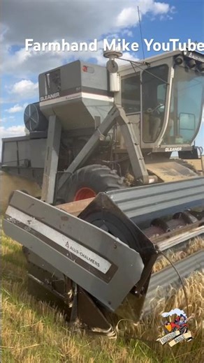 Gleaner L2 Combine cutting wheat in Colorado. #gleaner #wheatharvesting #agriculture