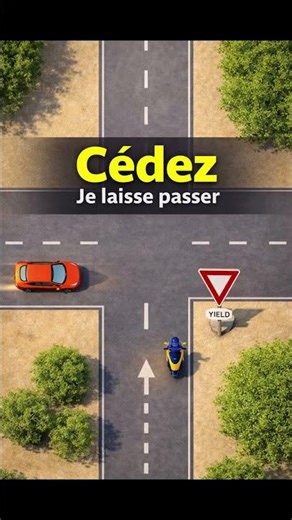 Question piège Code de la Route 🚨 Seulement 20% répondent juste !