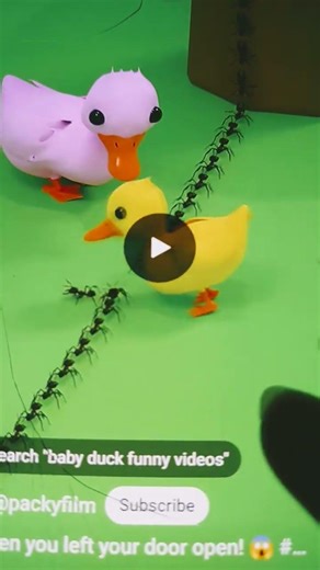 kindness Behavior of Baby Duck (Animation Memes)#animation #shots #memes