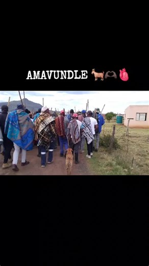 Explore Amavundle: Cultural Rhythms and Significance
