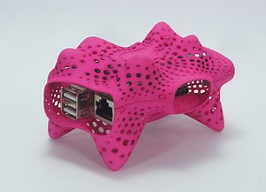 piLarian Designer 3D Printed Raspberry Pi Cases #piday #raspberrypi @Raspberry_Pi