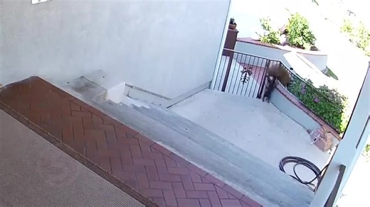 Видео download | OK.RU