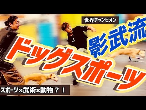 前編【ドッグスポーツ×影武流】犬と調和し身体でディスクを飛ばす🔥脱力が要の"ディスクドッグの世界"とは？！犬【異種コラボ】