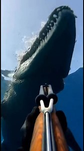 Terrifying underwater encounter! 😱 A spearfisher fends off a massive saltwater crocodile in a heart-pounding struggle for survival. Watch the moment it lunges! 🐊💥💦 #CrocodileAttack #Underwater #Survival #Spearfishing #NatureIsScary #CloseEncounter | Deep Stalker