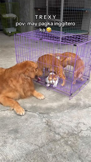 pinagkasya niya talaga sarili niya eh HAHHAHAHAHAHA #trexy