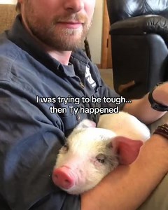 Ty 🐷 in 2019 You can literally see the moment my heart breaks from cuteness. Rescues like this are why we do what we do at @barnsanctuary #rescuedpig #barnsanctuary #animalrescue #sanctuarylife #farmanimals | Daniel McKernan