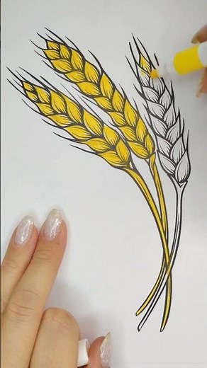 Wheat Coloring 🌾 🌾🌾Minimalist Aesthetic Art
